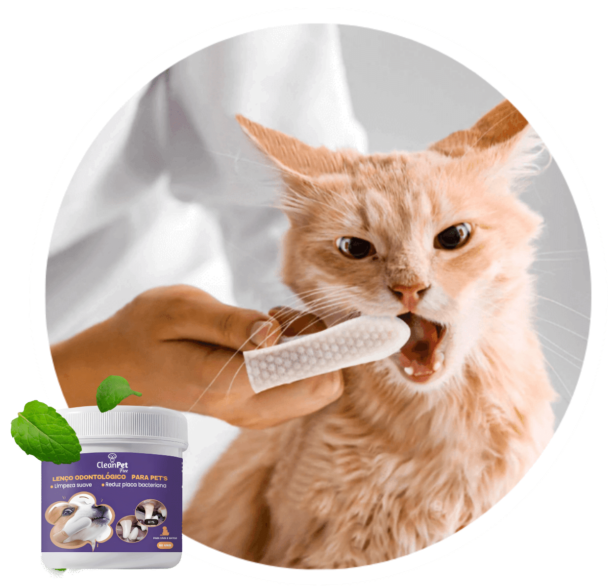 Brandbook CleanPet - Amanda Fernandes.pdf (17)