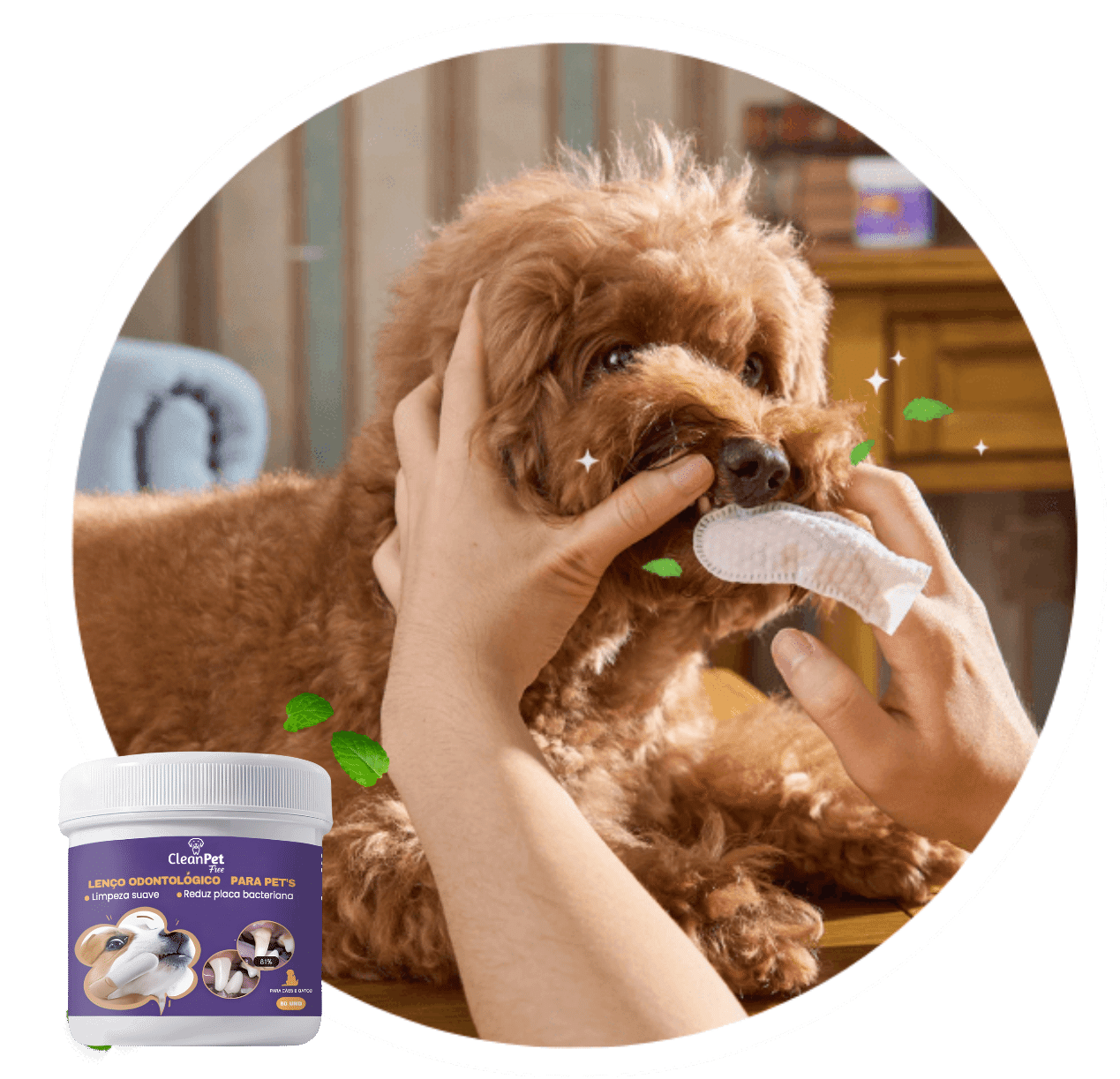 Brandbook CleanPet - Amanda Fernandes.pdf (18)