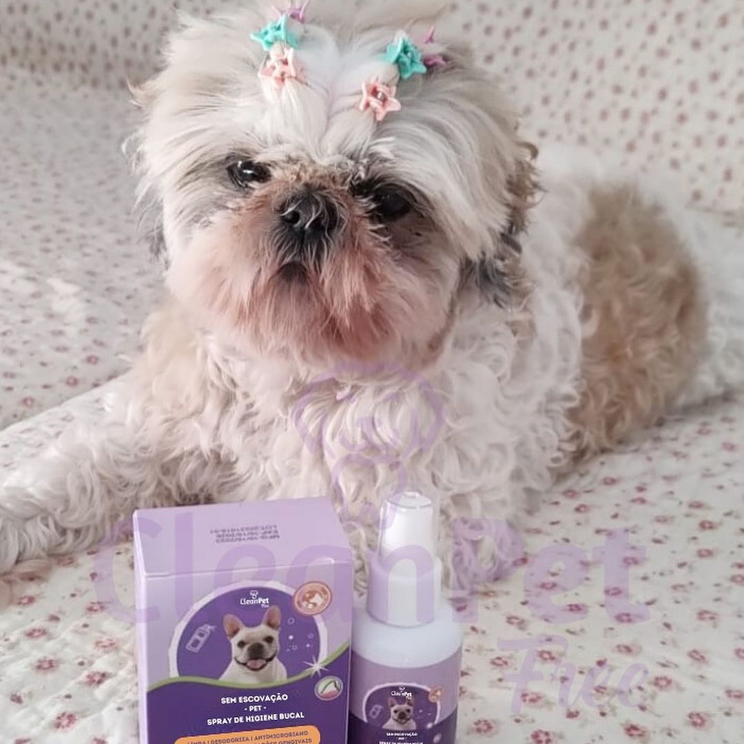 WhatsApp Image 2024-06-21 at 18.06.27