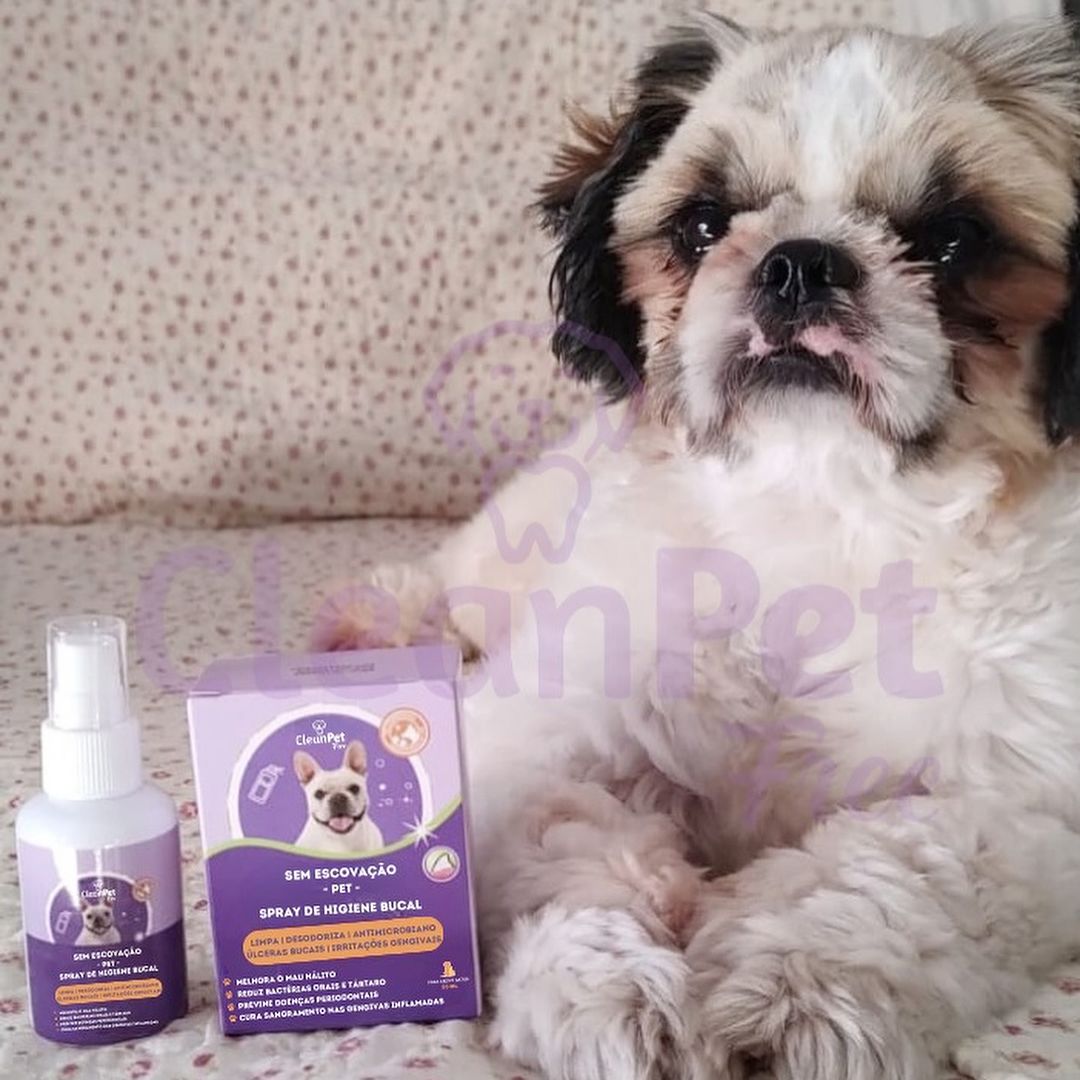 WhatsApp Image 2024-06-21 at 18.07.20