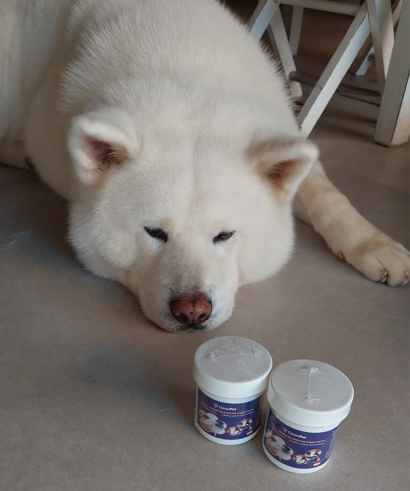 WhatsApp Image 2024-06-24 at 08.41.39 (2)