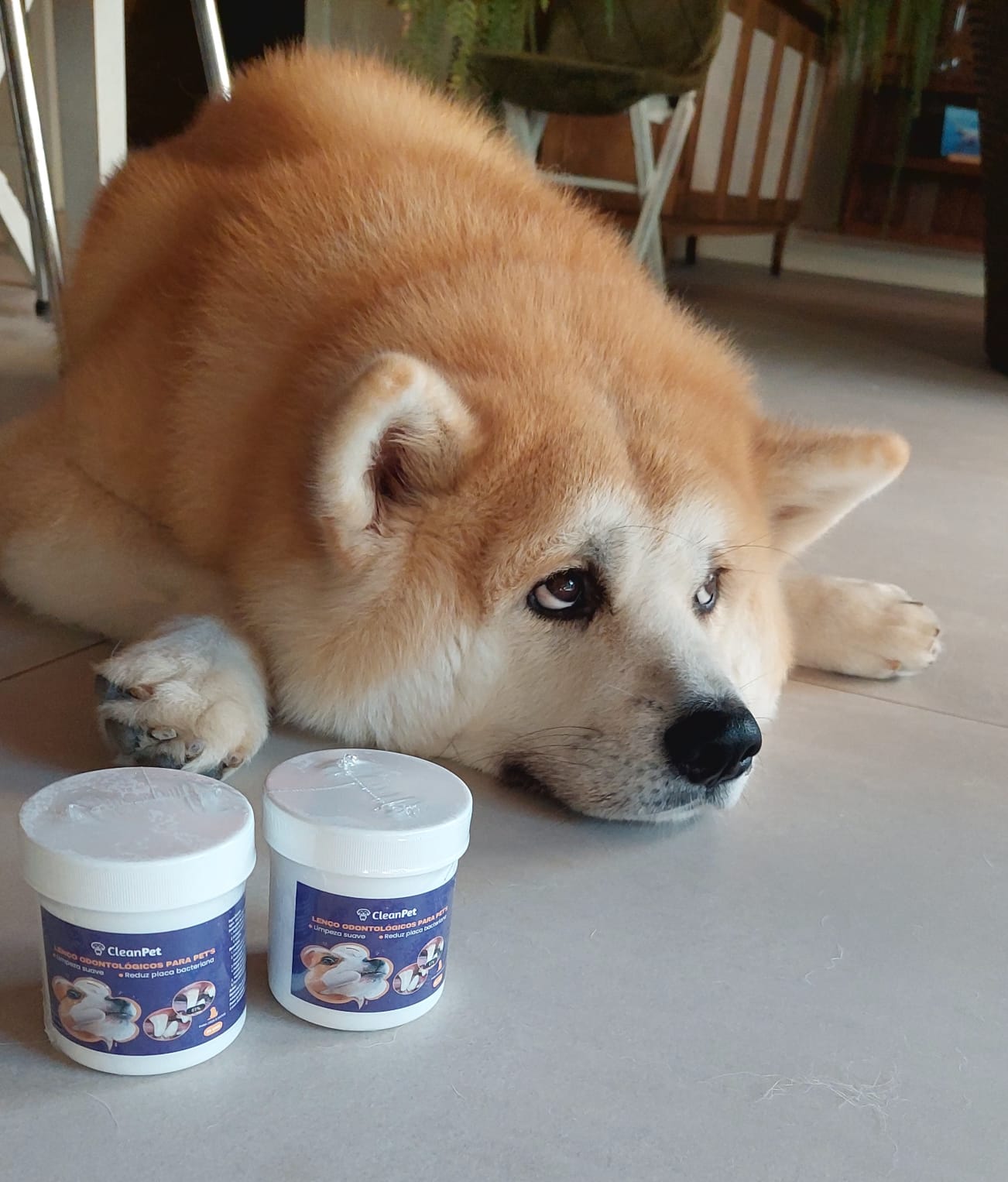 WhatsApp Image 2024-06-24 at 08.41.39 (4)