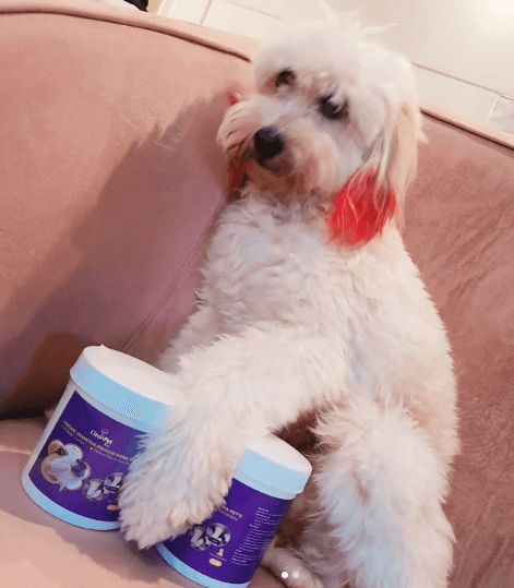 Screenshot - 2024-07-17T121121.078 (1)