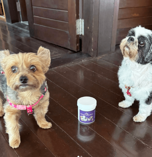 Screenshot - 2024-07-17T121216.626 (1)