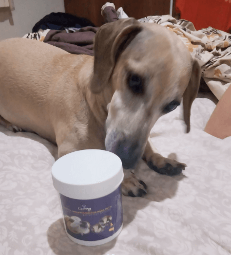 Screenshot - 2024-07-17T121241.220 (1)