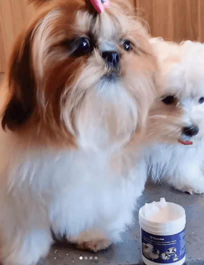 Screenshot - 2024-07-17T121313.761 (1)