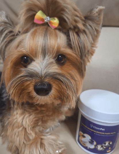 Screenshot - 2024-07-17T121336.584 (1)