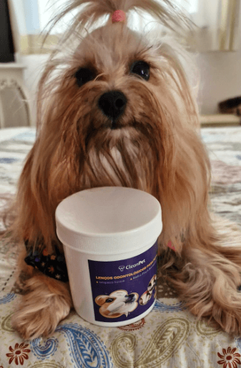 Screenshot - 2024-07-17T121418.178 (1)