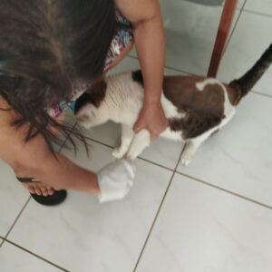 62dba801-3ad2-4b51-9735-958b9af1fac4 (1)